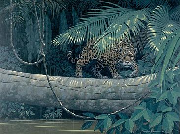 Softly, Through The Flooded Forest - Jaguar by Richard Sloan (1935-2007)